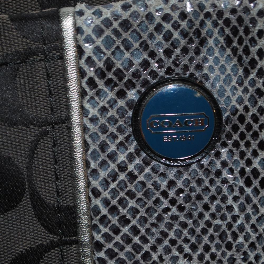 Signature Stripe Python Tote Coach - Picture 5 of 10